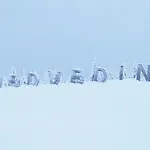 Medvedin 110