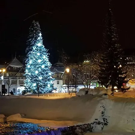 Medvedin 110 * Špindlerŭv Mlýn
