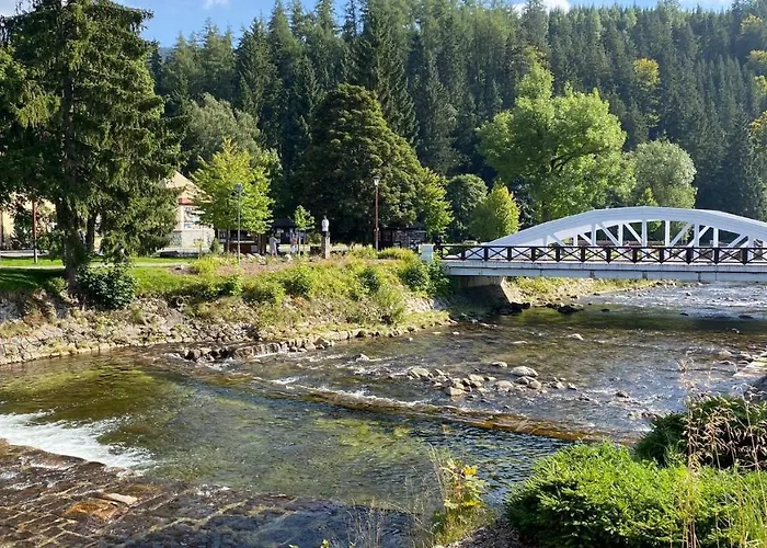 Medvedin 110 Spindleruv Mlyn