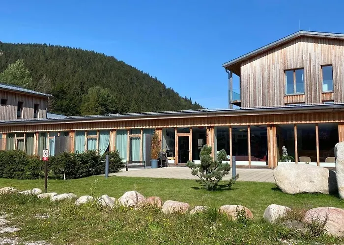 Medvedin 110 * Spindleruv Mlyn