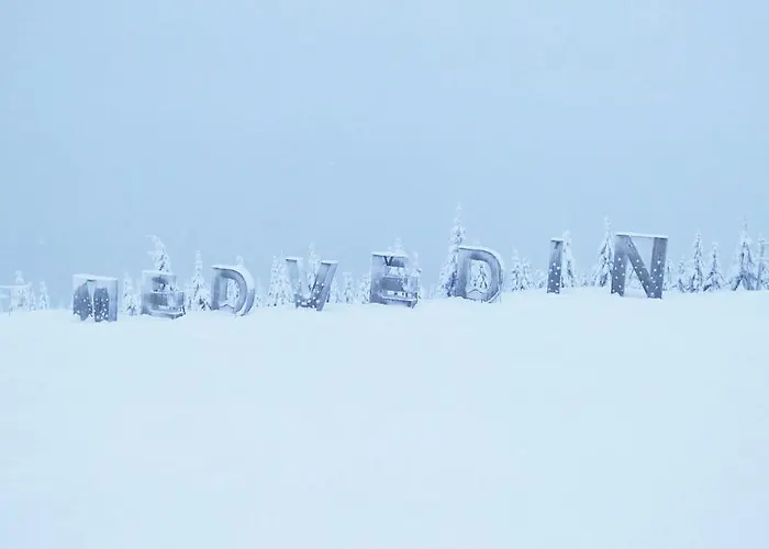 Medvedin 110